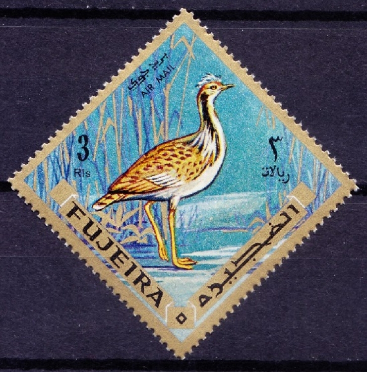 Fujairah 1969 MNH, Birds, Macqueen's Bustard, Odd Diamond Shape