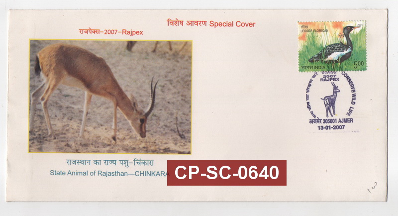 India 2007 Conserve Wildlife - State Animal of Rajasthan - Chinkara, Ajmer,  Rajasthan Special Cover #SC640