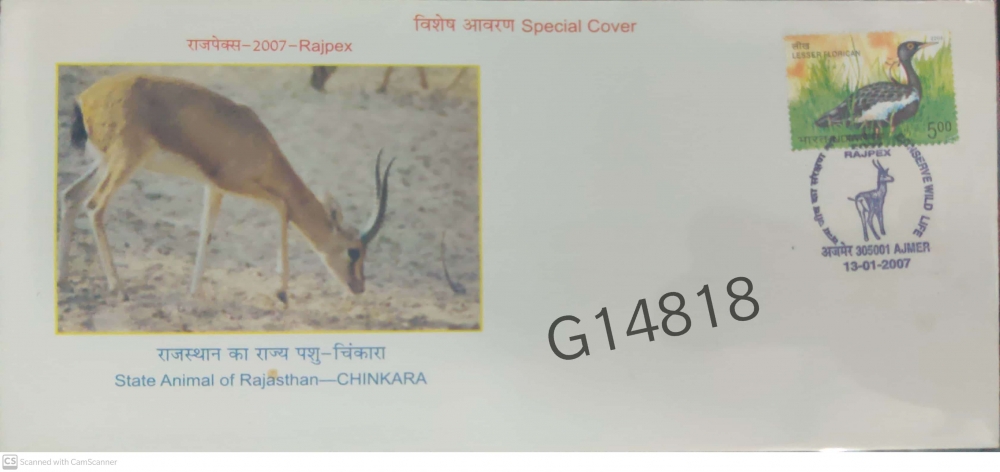 India - Chinkara - State Animal of Rajasthan - FDC/Speical cover- G14818