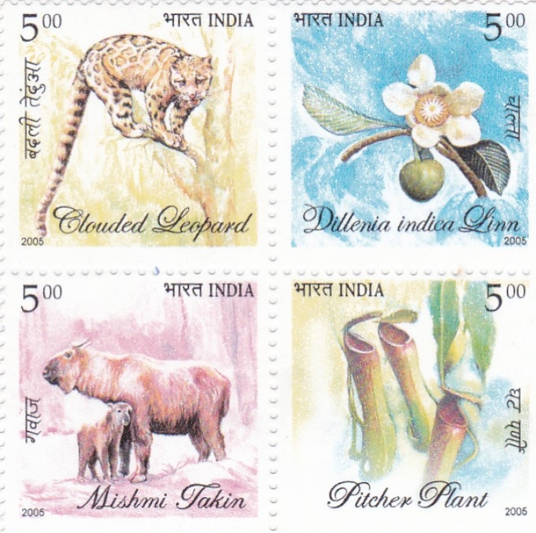 Álbumes 98+ Foto Flora Y Fauna De La India Mirada Tensa
