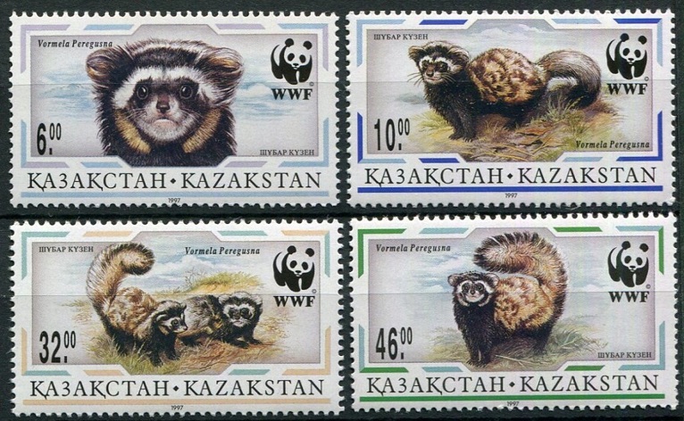 Kazakhstan 1997 MNH 4v, WWF, Marbled Pole Cats, Wild Animals