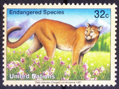 United Nations 1997 MNH, Puma, Wild Animals, Cats of prey